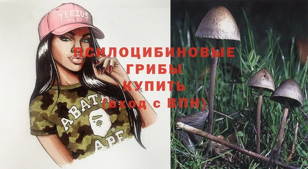 MDMA Белокуриха