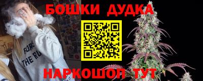 МДПВ Сланцы