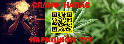 МДПВ Сланцы