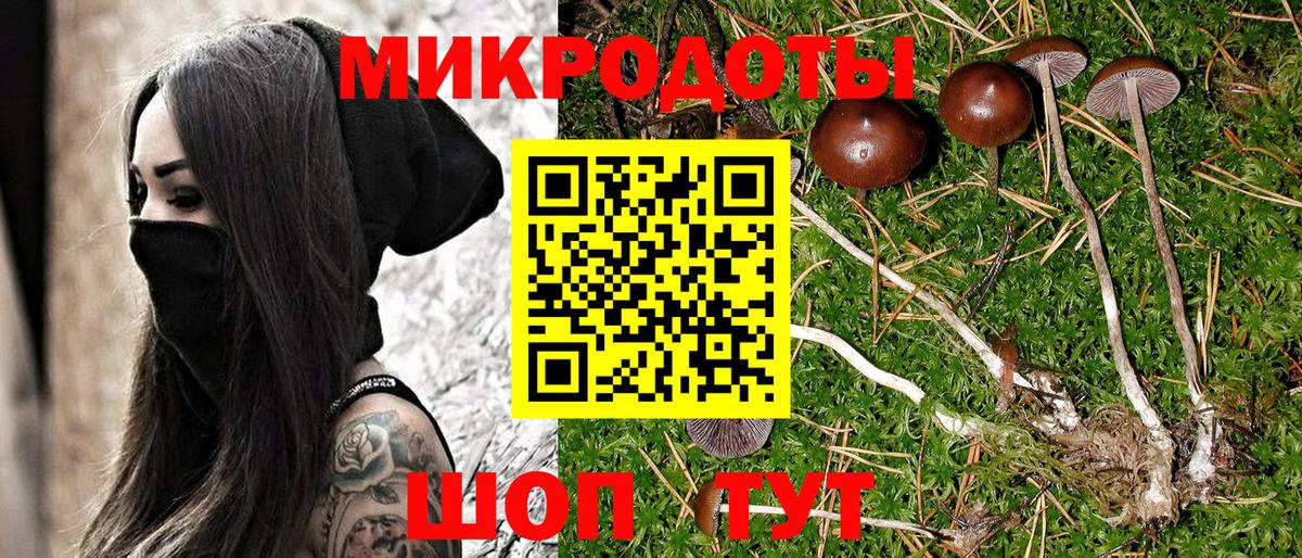 Псилоцибиновые грибы Psilocybine cubensis Острогожск