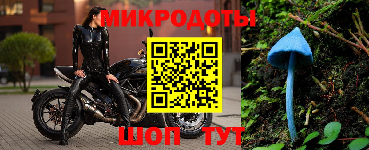Острогожск  Псилоцибиновые грибы Cubensis  как найти закладки  Псилоцибиновые грибы мицелий  Вход с VPN 